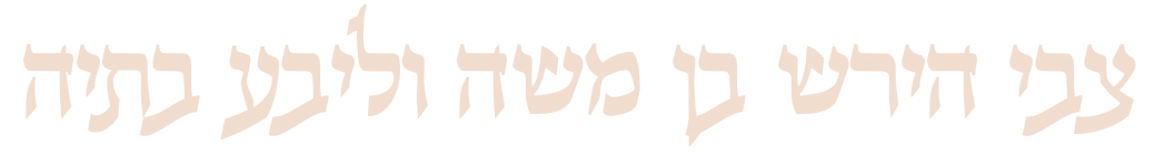 צבי הירש בן משה וליבע בתיה